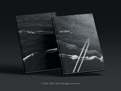 [분양완료] 113. Overflow