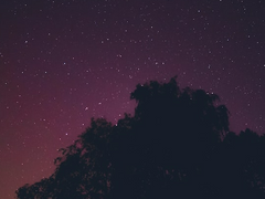 엄친아를 믿지 마세요