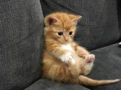 127막내 김여주 히스토리 EP.3