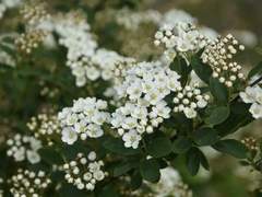 또다시 겨울이라는 것은