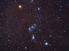 준호를 행복하게 하는 것