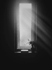 겨운 그날이 오면