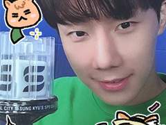 김성규 응원봉 포카프레임 도안공유