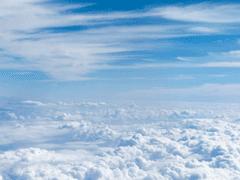 탐라에서 발견한 표!