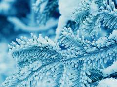 어느 먼 미래에서 보내온 편지