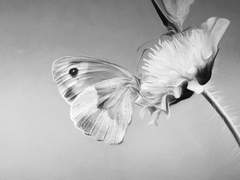 벅차오르는 자유를 향해?