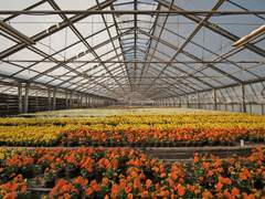 ■ 그날의 □□은 ■■이었다. □