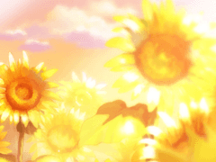 노을을 닮은 너에게