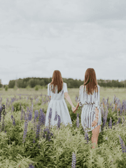 무지개가 빛나는 집