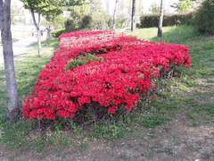 누구 말 들어라 고?