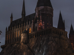 보고 싶은 사람들에게