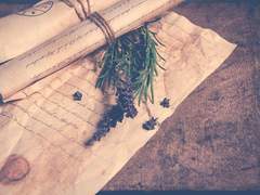 [탈종/타르종려/타르모락] 단문 모음