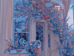 신지예지 º 강림체육고등학교 º XX