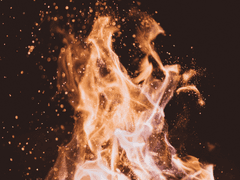 [잔불의 기사/지우스+와론] 판단