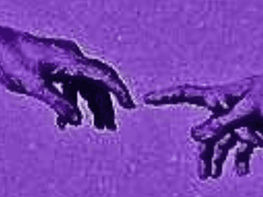 쿠로이와 히로시 / XY