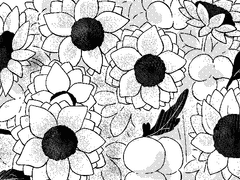 편지를 따라 오셨나요?