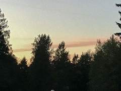 너 따위 필요없어 - 앙스타 카오코가