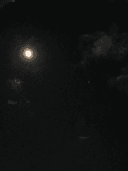 Come back my Daddy 설정