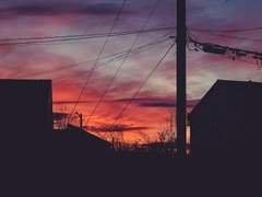 무쵸산즈 짧은 썰들