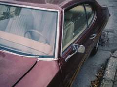 무쵸산즈 운전 썰