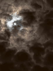 장산범 길들이기