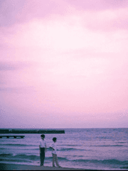 미나토상사 코인세탁소 오리지널 소설