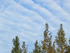 머언 짓 하는거야?