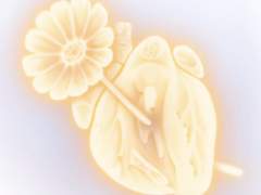 애니메이션 <사랑의 괴로움>