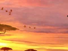 𝙆𝙖𝙩𝙝𝙚𝙧𝙞𝙣𝙚•𝘿𝙞𝙖𝙜𝙤𝙣𝙖𝙡