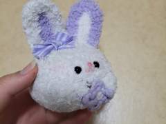 저희 애기가 돌아왔써요...!!!!!!!!!