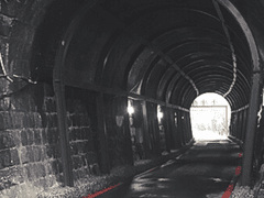 정리되고 정리되지 않은글2