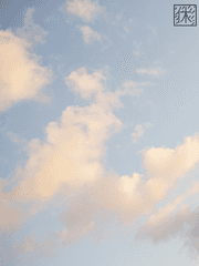 데못죽 2차 창작