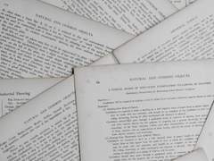 오 나의 뮤즈님-2