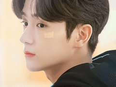 대가리 재현밭_1