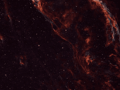 1. 세상을 만끽하는