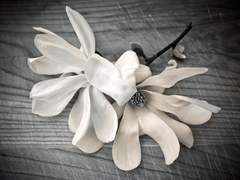 어쩜, 이리 운명같은 일인가!