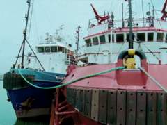 람차란들 상극일때