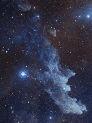 황제의 품으로 떨어진