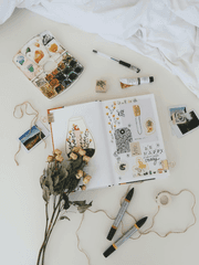 K국 장녀로 살아남기