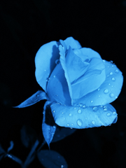 이런 영웅은 싫어