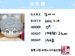 출생증(인형김세나)