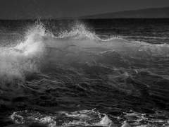 【 미소 / 23 / 미표기】