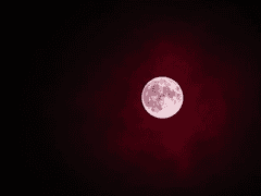 그믐달 지는 새벽에