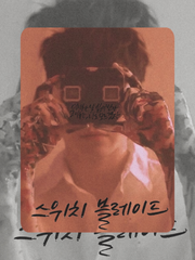 스위치 블레이드