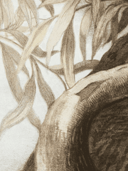 [뷔진] 그림자신랑