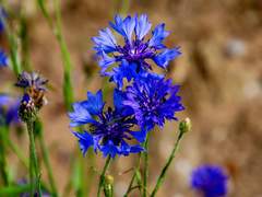 [김희원]대리 소개팅