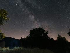 탐정과 과학자(5)