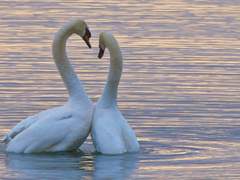 봄이 오면 피렌체에 갈까.