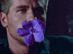 몽고메리의 패션으로 보는 충동과 통제