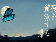 밤을 유영하는 나비